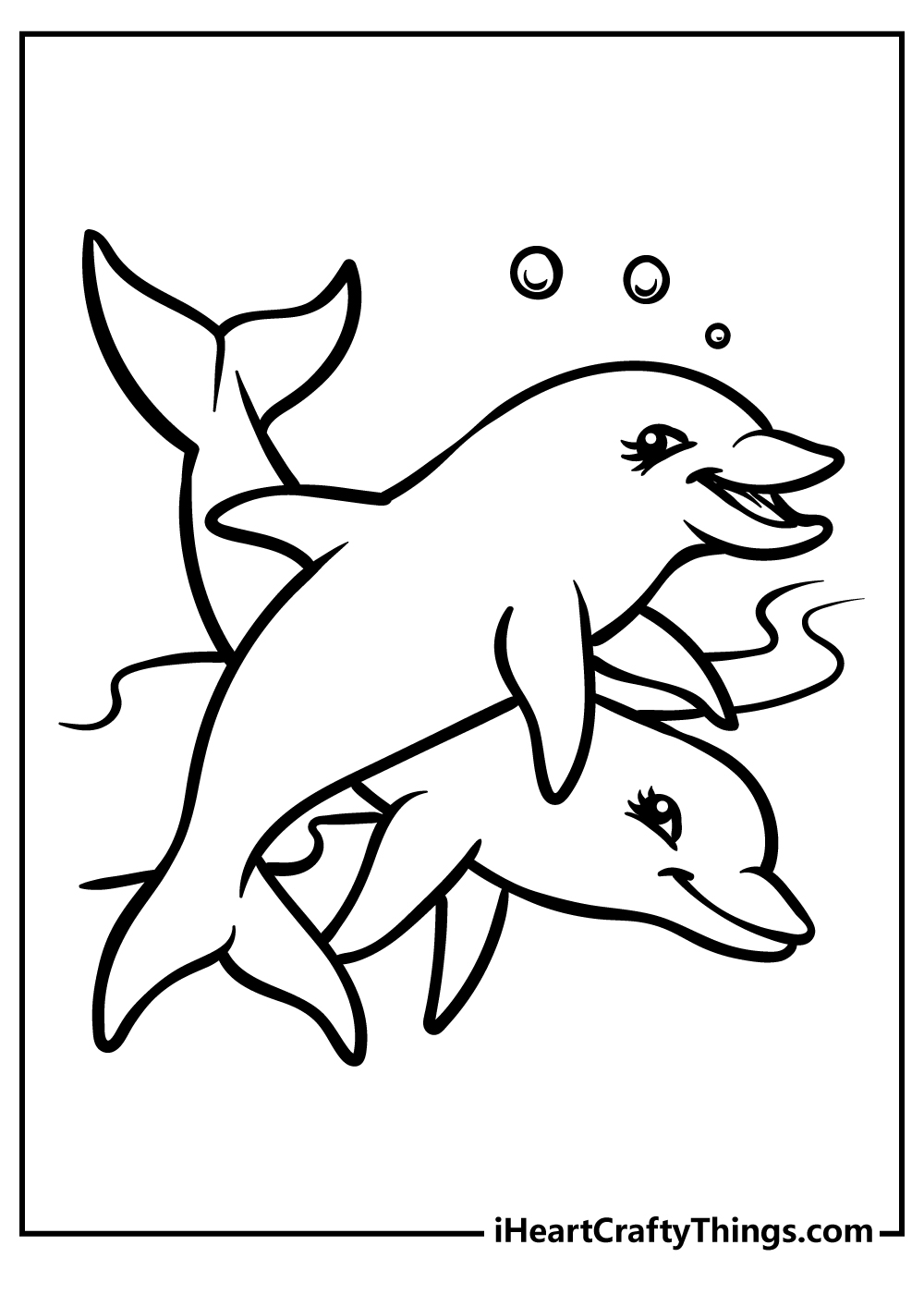 dolphin pictures to print
