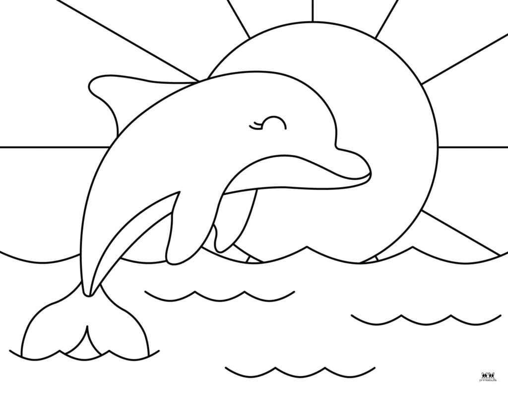 dolphin printable