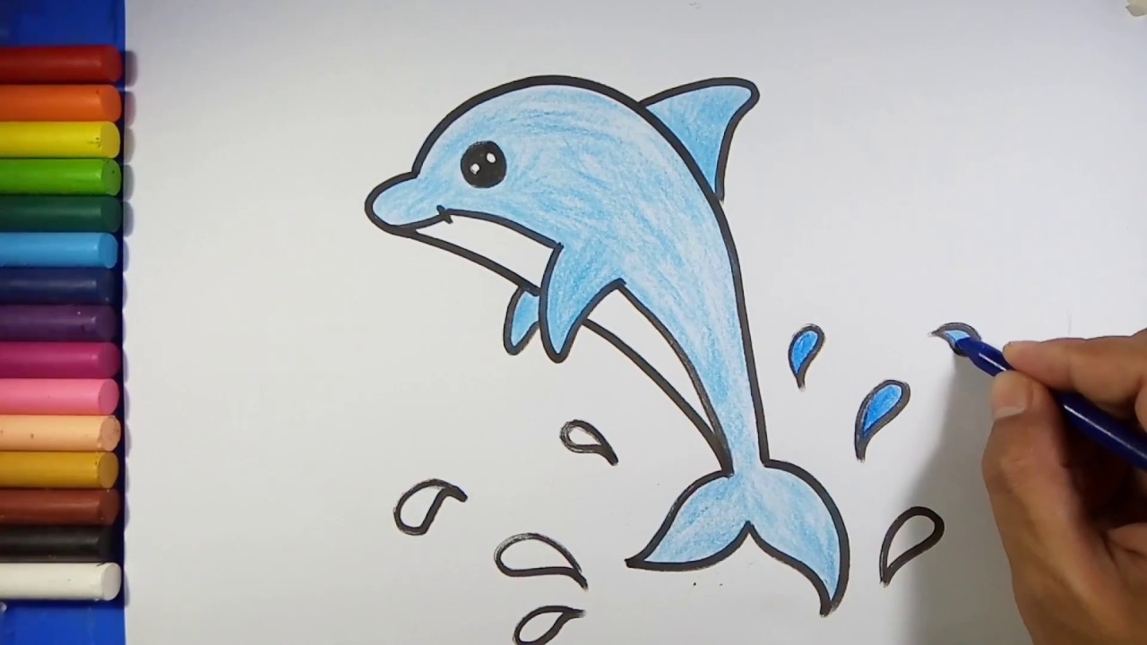dolphins drawings for kids