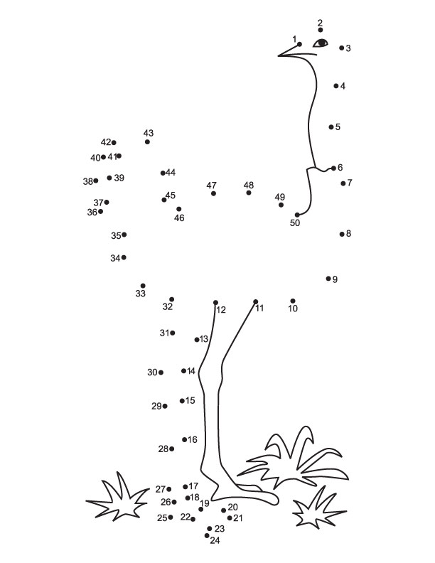 dot to dot 1 50