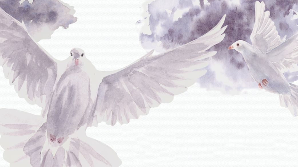 dove cliparts 2024