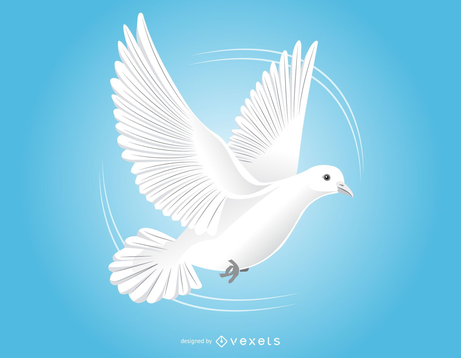 Dove Vector &amp; Graphics to Download