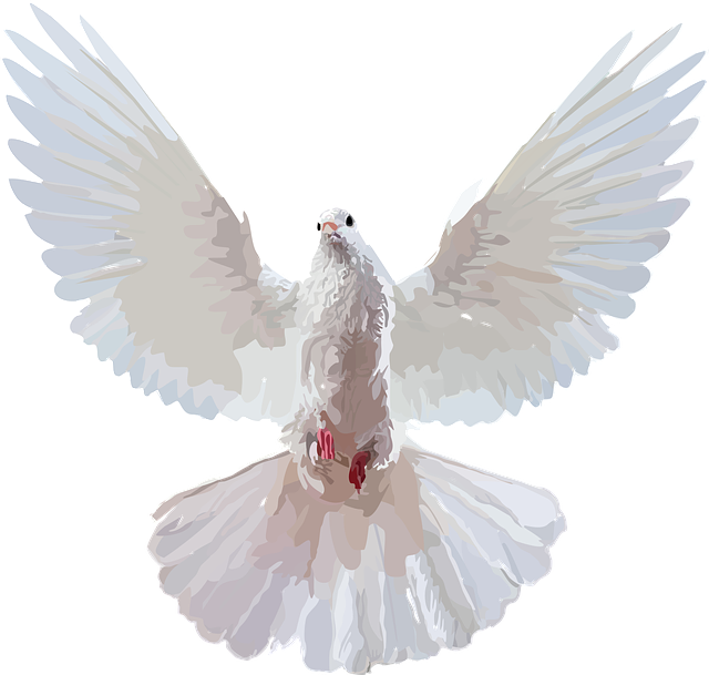 Free Dove Vector Art and Graphics for Download | 200+ Vectors ...