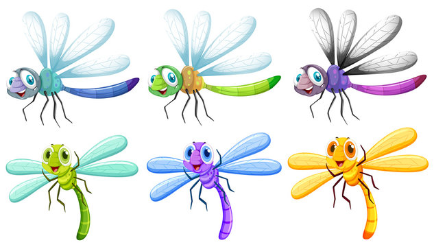 Cartoon Dragonflies Images – Browse 29,585 Stock Photos, Vectors ...