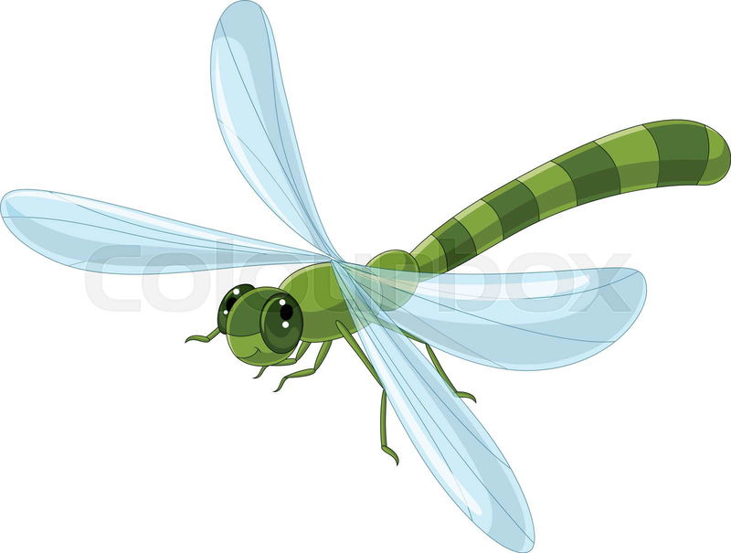 Vector illustration of Cartoon dragonfly | Colourbox