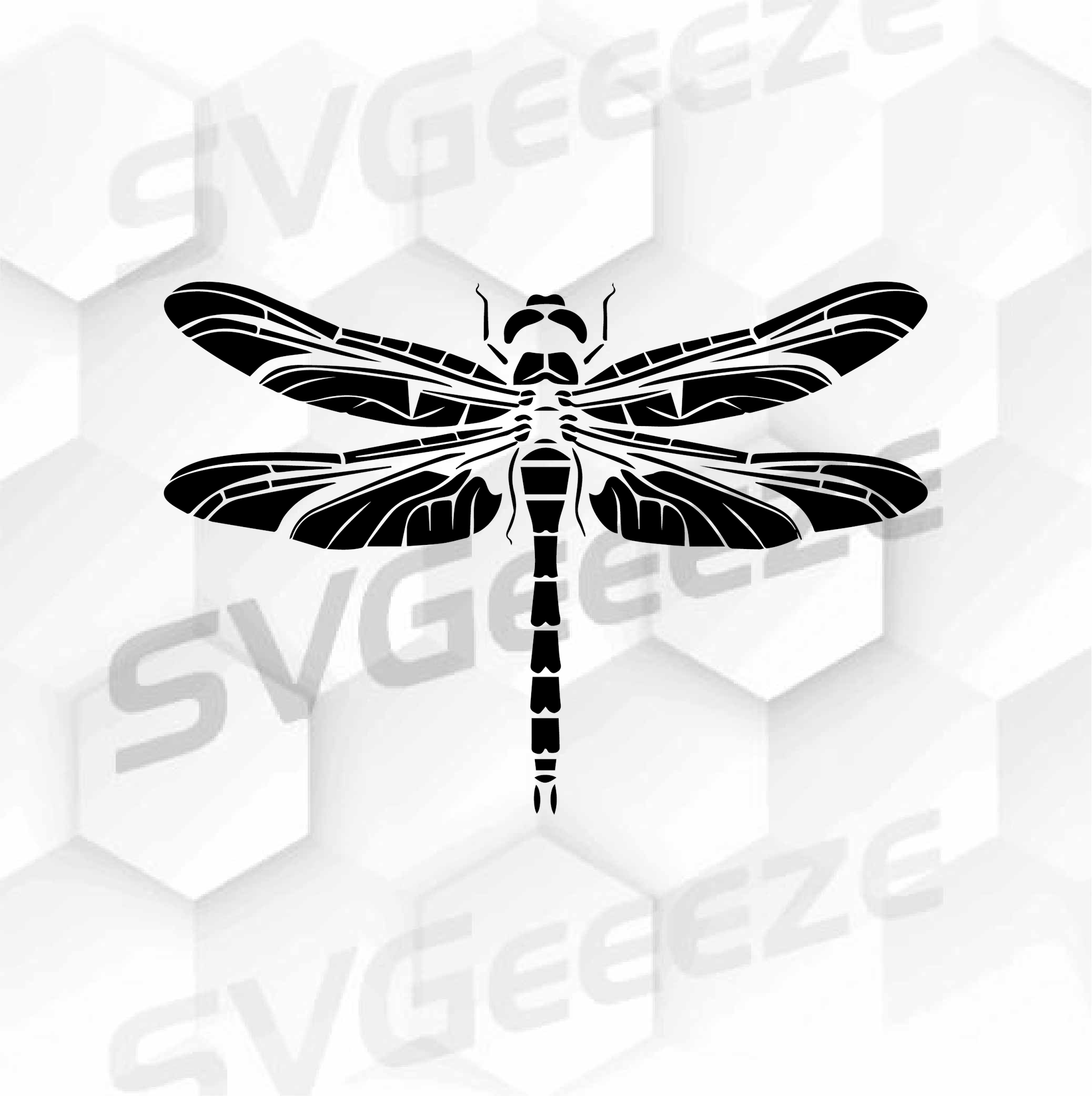 dragon fly clipart 2024