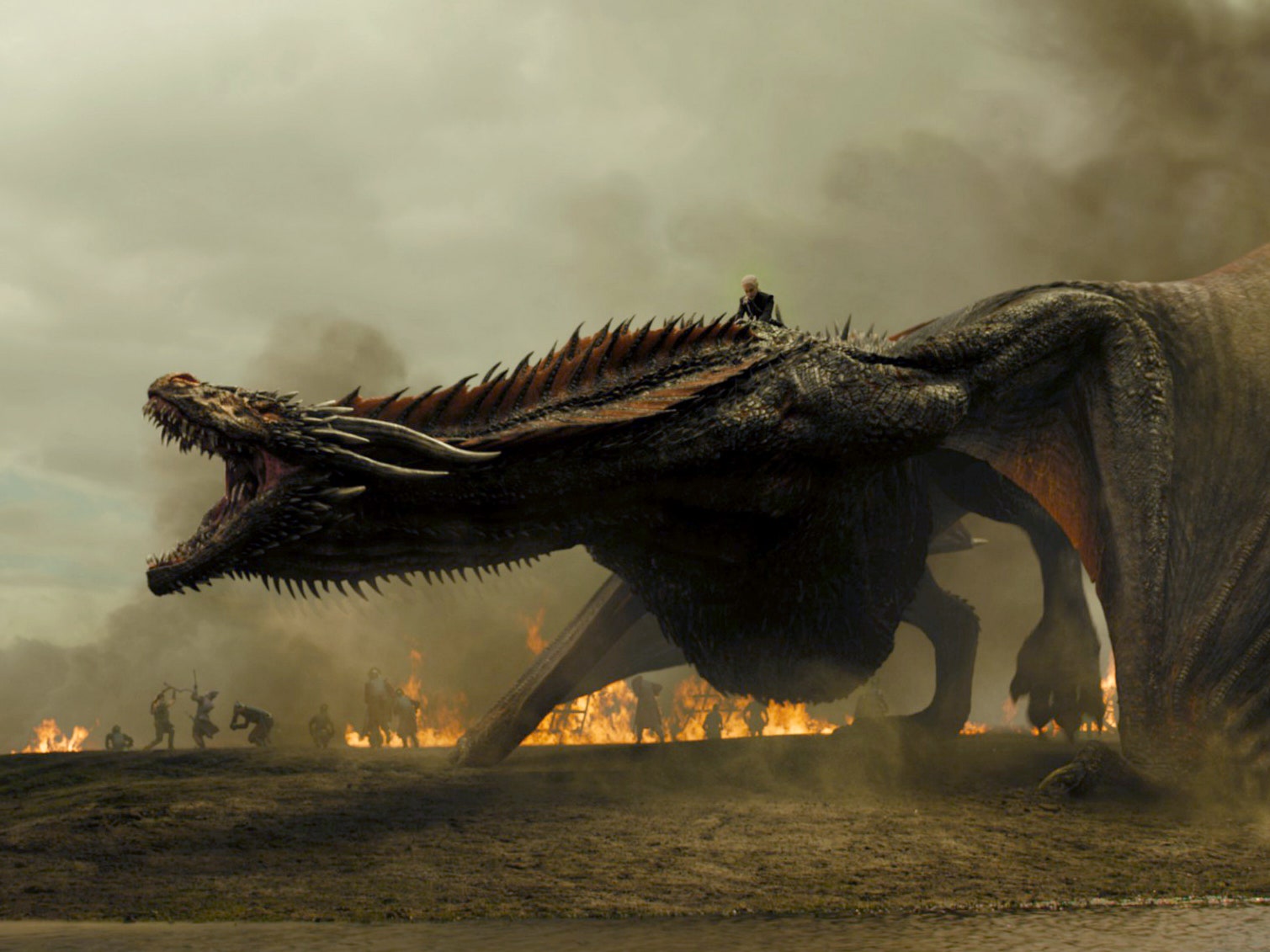 dragon pictures