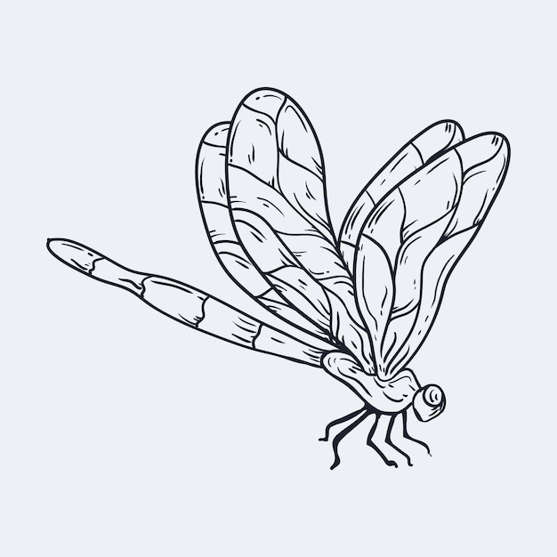 dragonfly outline cliparts