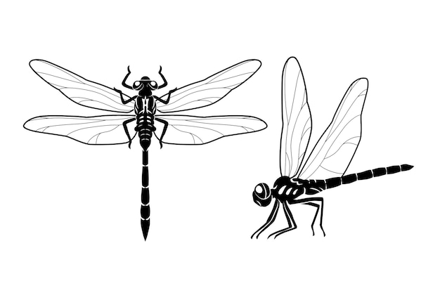 dragonfly outline cliparts
