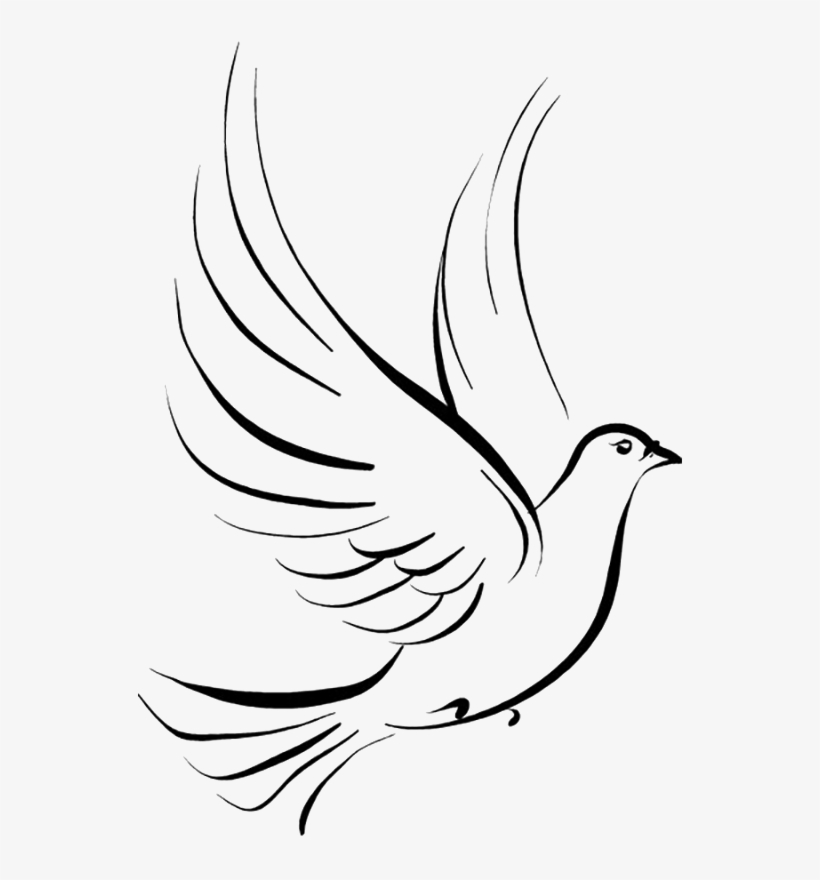 Tattoo Stencil Pigeon Pen Jane Drawing Clipart - Dove Clipart Png ...