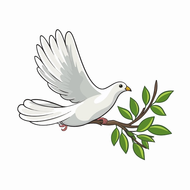 drawing dove cliparts