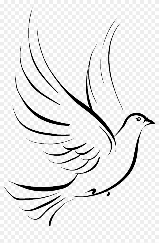 drawing dove cliparts