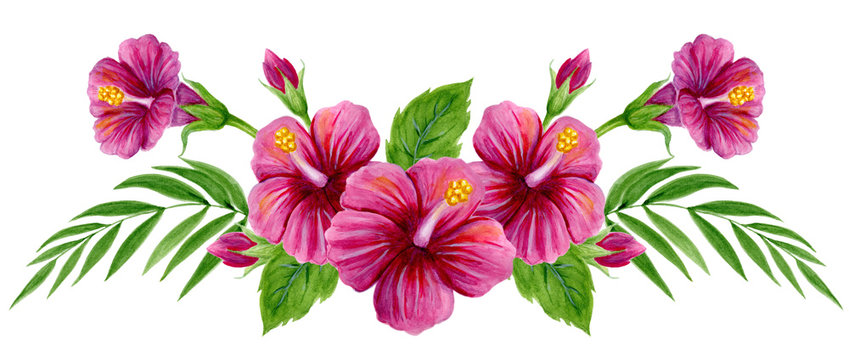 drawn hawaiian flowers