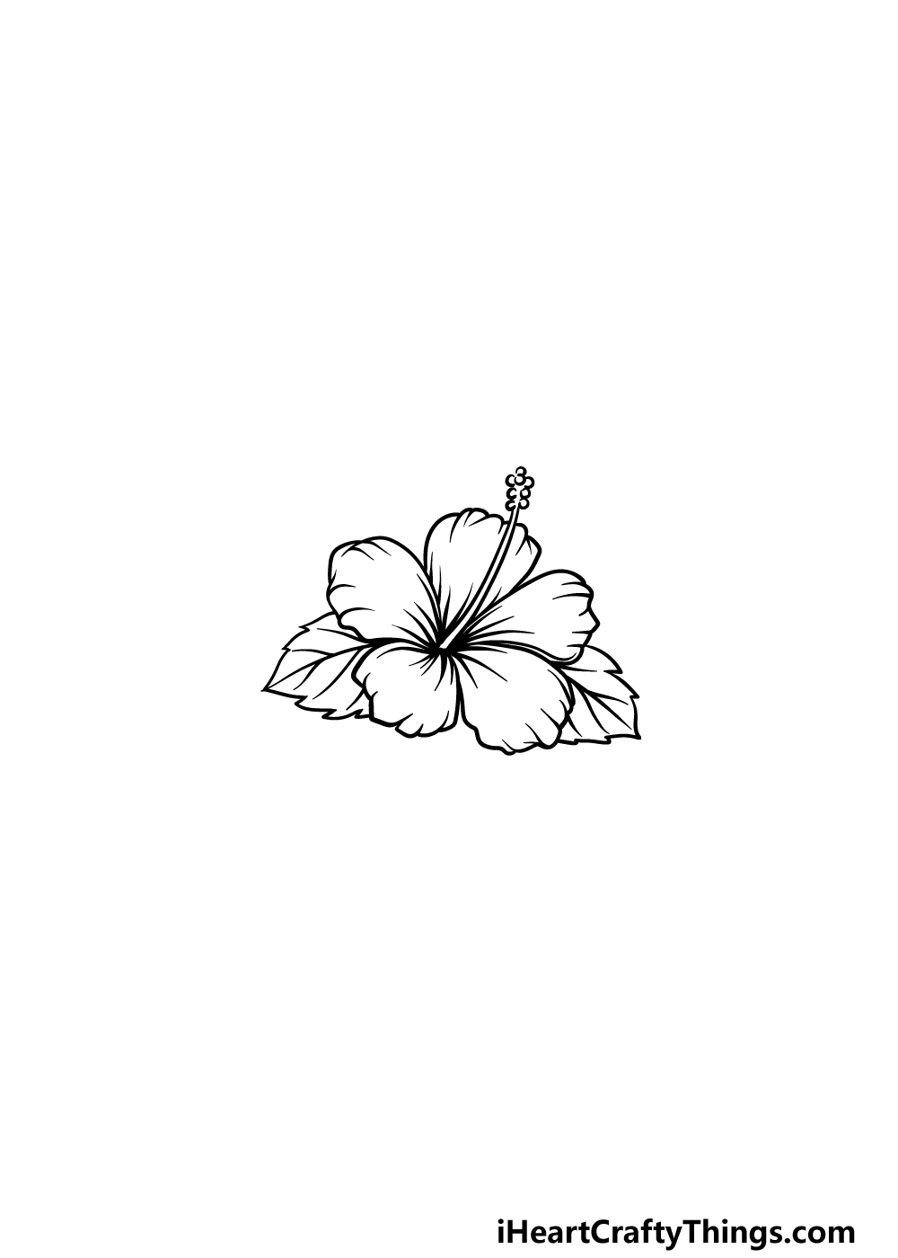 drawn hawaiian flowers