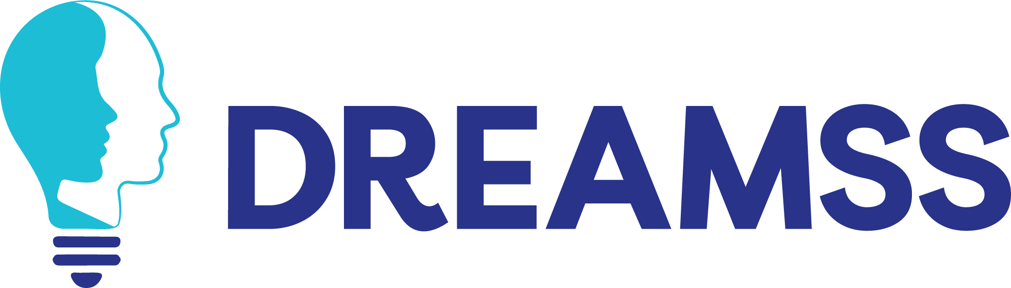DreamSS - Coming Soon
