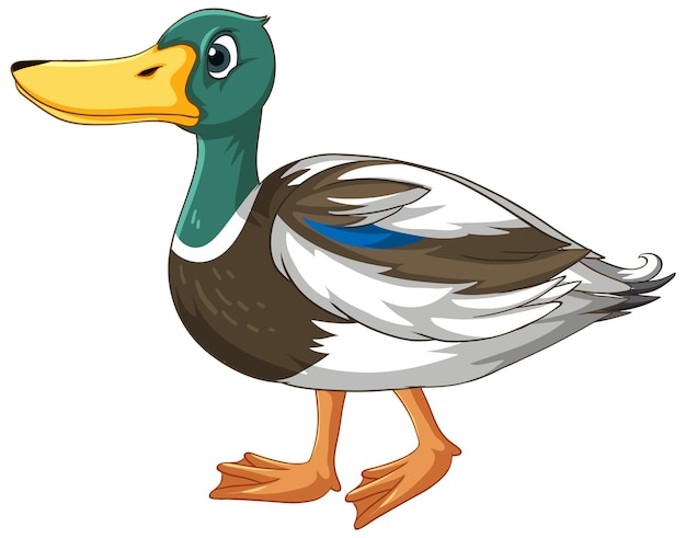 Duck Clipart Images - Free Download on clipart library