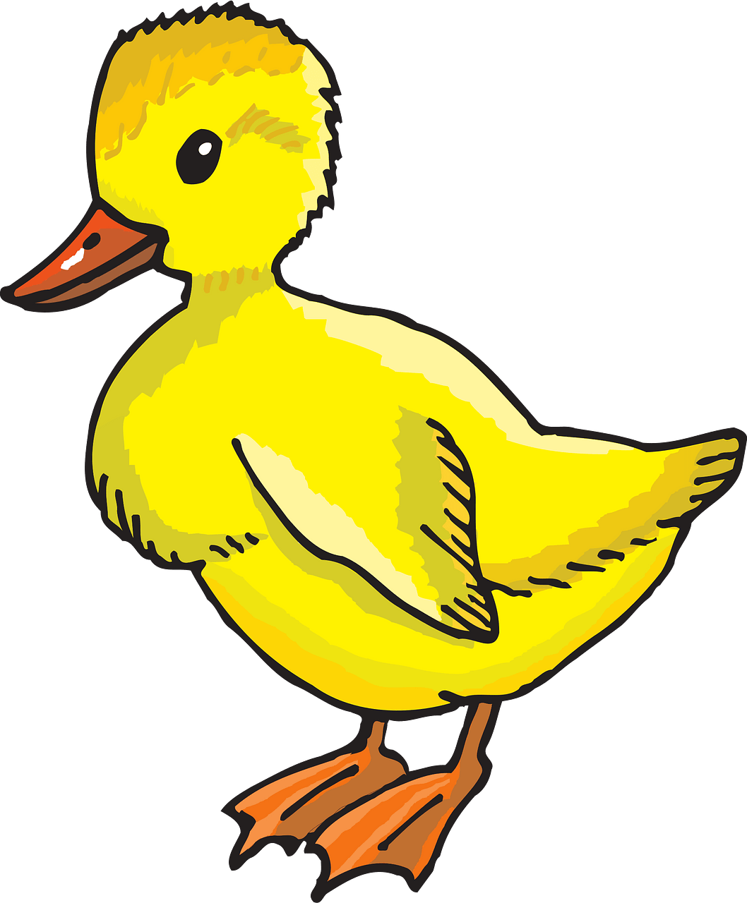 Duckling - Free vector clipart images on clipart library.com