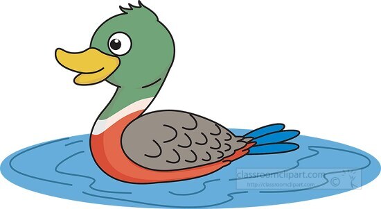 Duck Clipart-mallard duck clipart