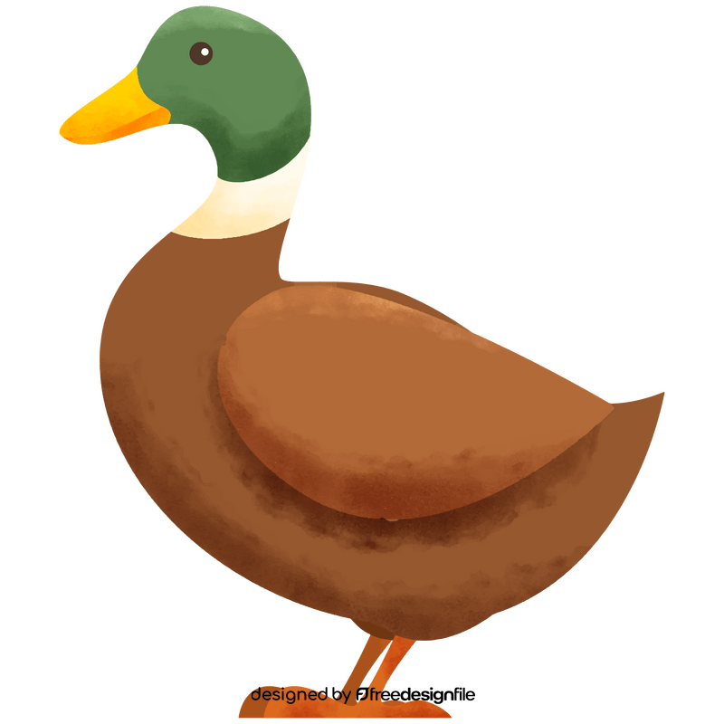 Duck clipart free download
