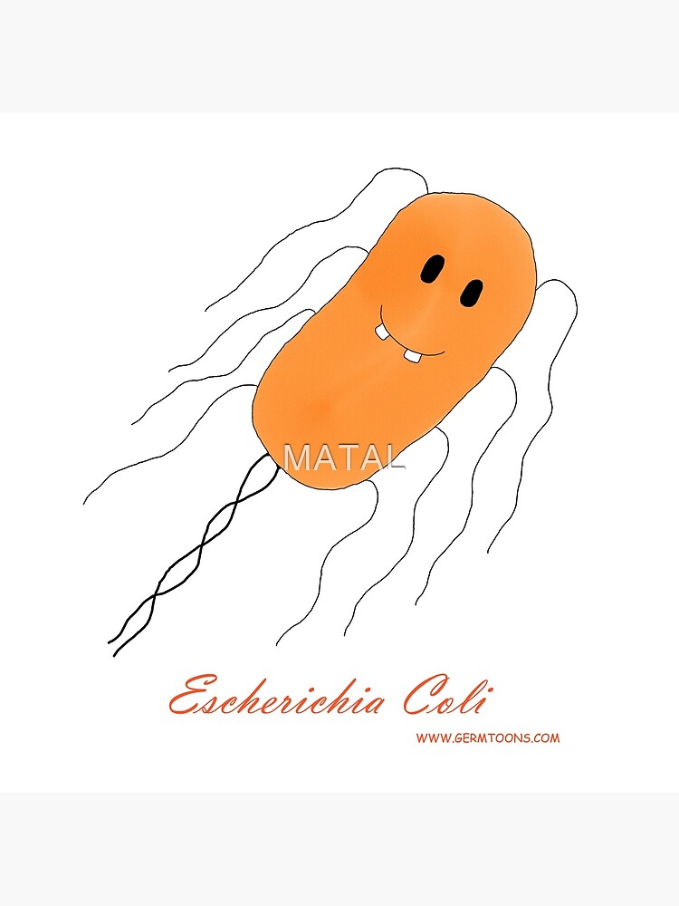 Glücklich escherichia coli Bakterien Cartoon Design-Konzept mit ...