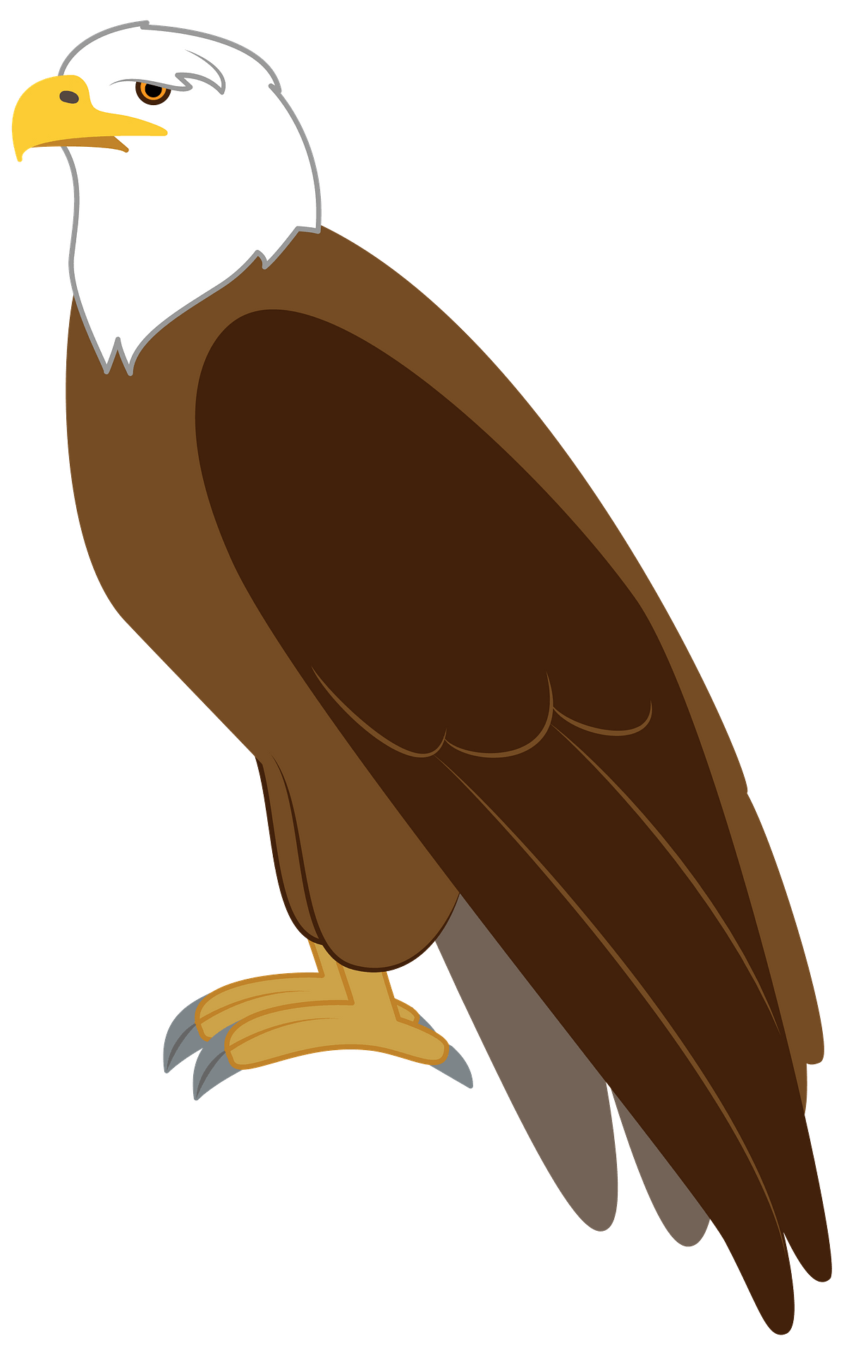 Eagle - Free vector clipart images on clipart library.com