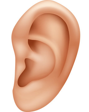 ear clipart