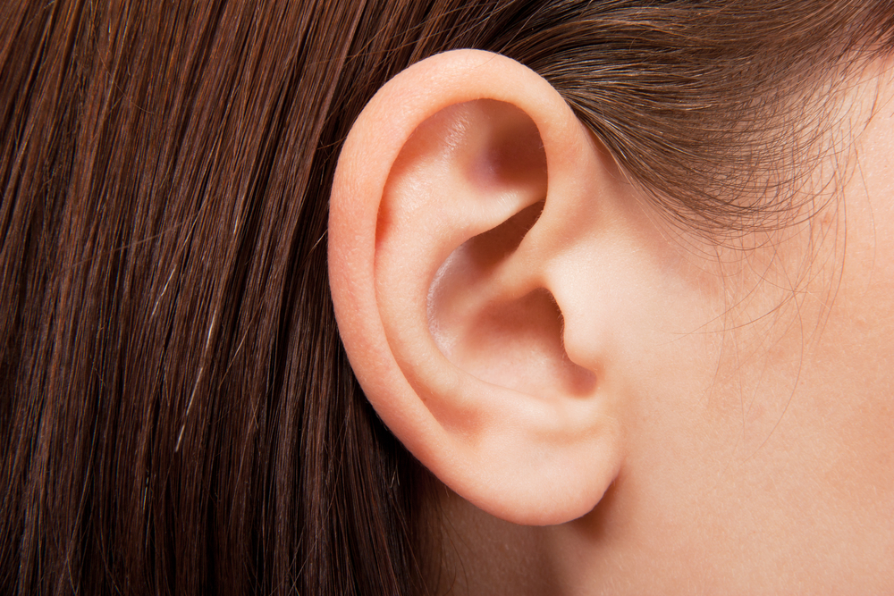 Ears: Facts, Function &amp; Disease | Live Science