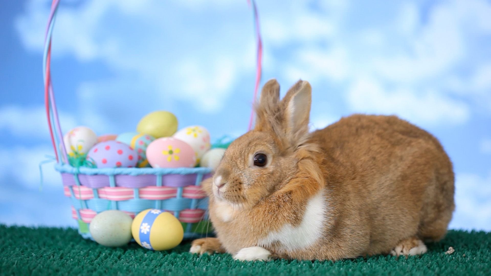 easter image