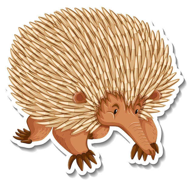 Echidna Clipart Vectors &amp; Illustrations for Free Download | clipart library