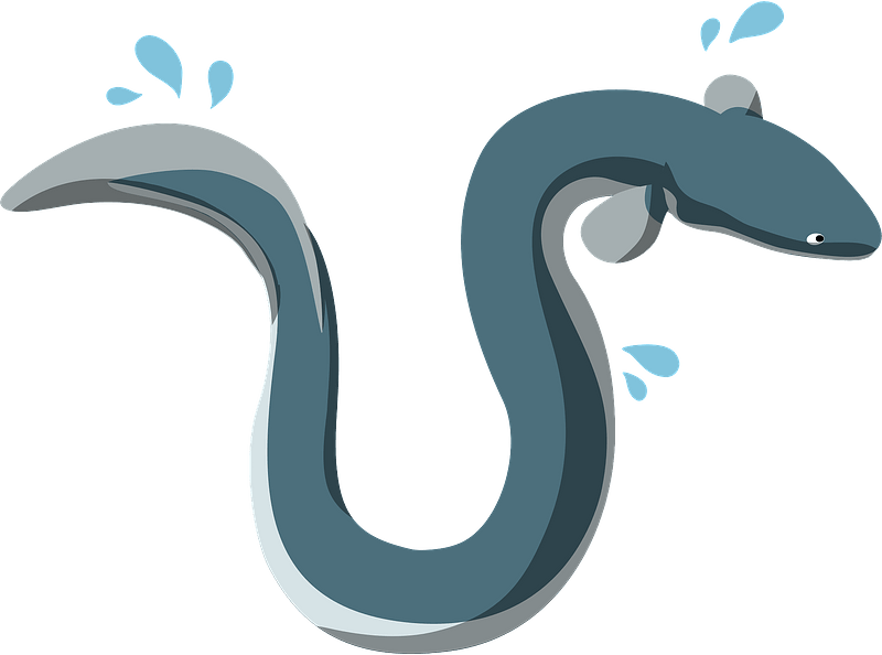 Unagi eel - Free vector clipart images on clipart library.com