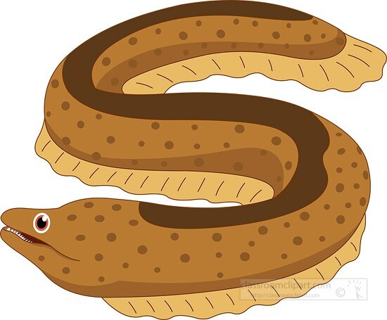 Marine Life Clipart-eel sea animal clipart