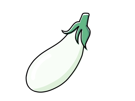 Free Vectors | white eggplant