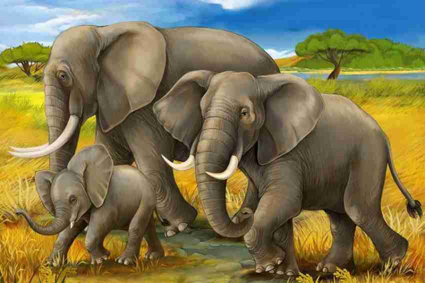 elephant images