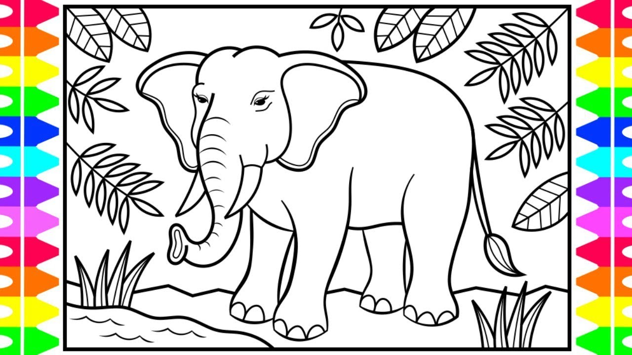 elephant pictures for kids to color