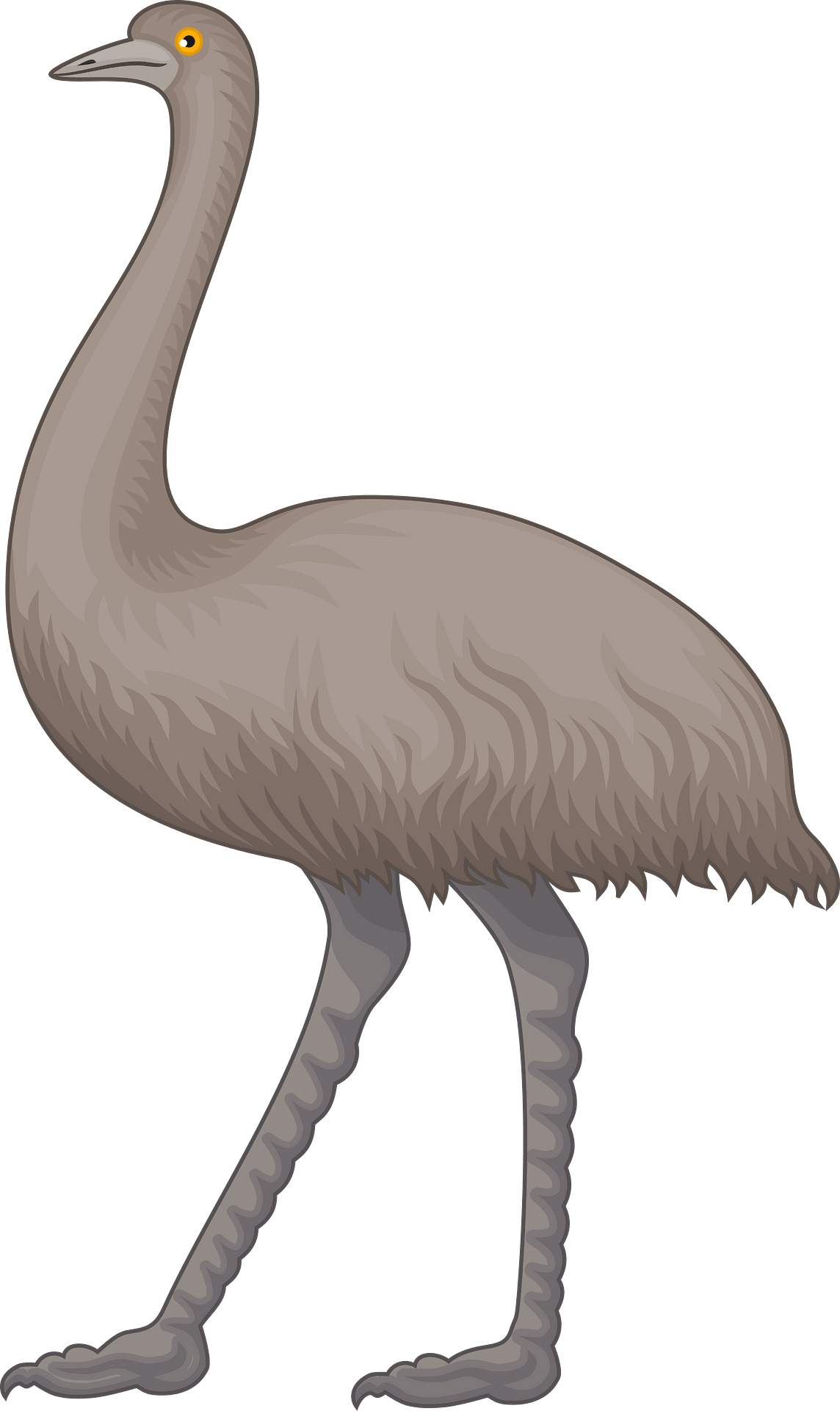emu cliparts 2024
