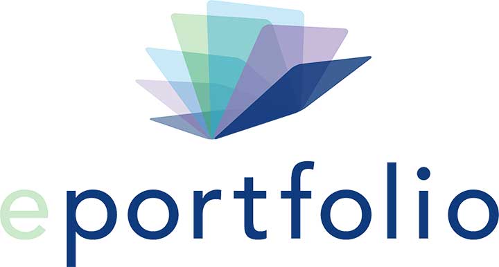 Why you need an electronic professional portfolio
