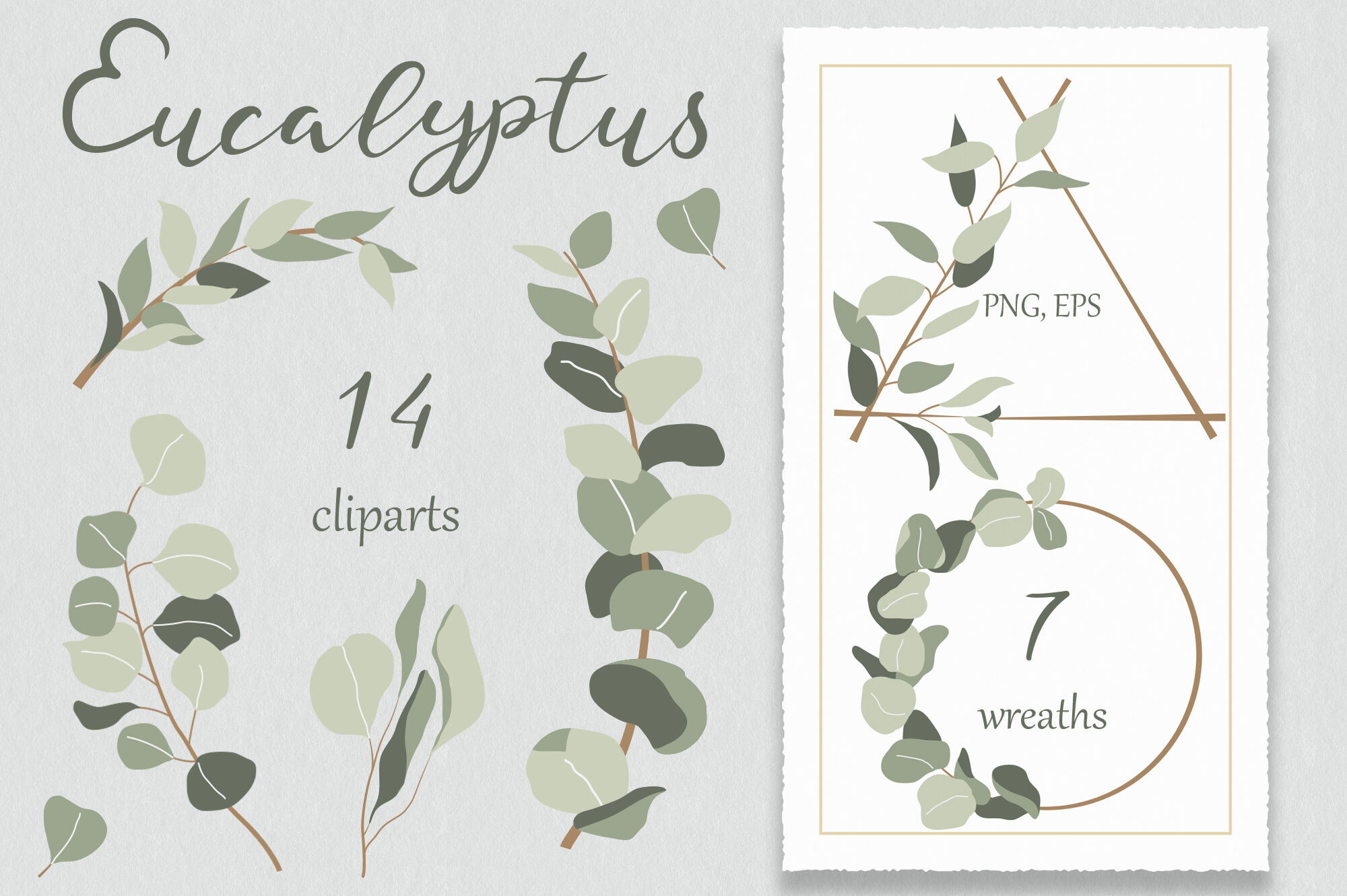 Eucalyptus clipart. Eucalyptus wreaths. Wedding greenery clipart ...