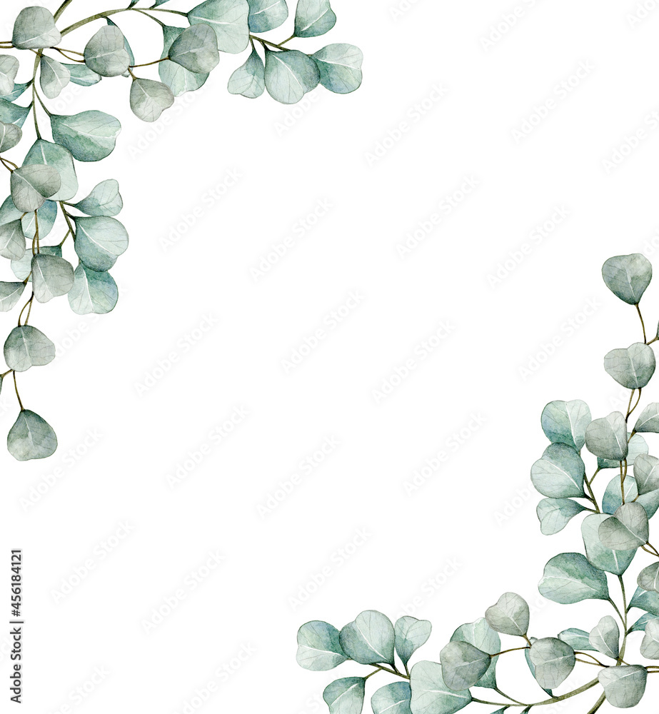 eucalyptus leaves clipart