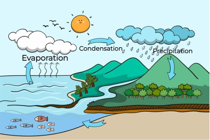evaporations