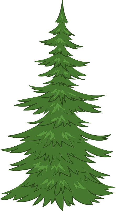 Evergreen tree - Free vector clipart images on clipart library.com