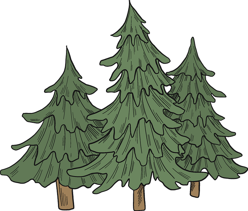 Evergreen trees - Free vector clipart images on clipart library.com