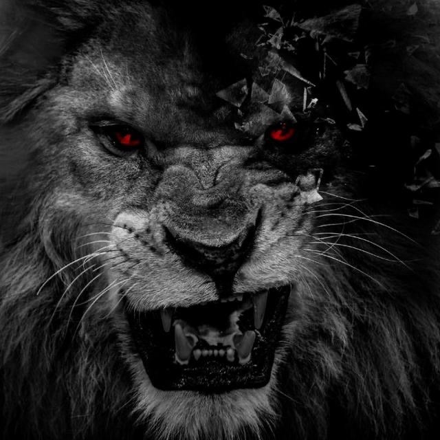 Evil Lions Home of Rockmusik | Evil Lions