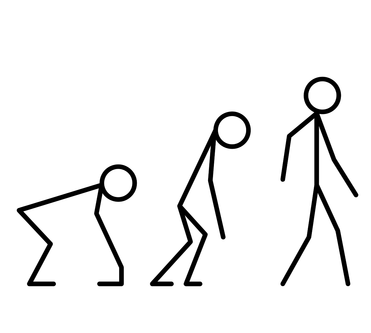 evolution cliparts