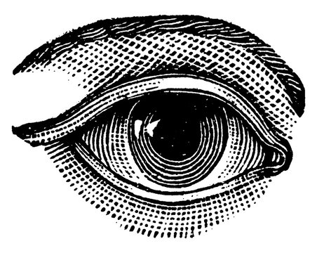 Eye Line Drawing Images – Browse 401,944 Stock Photos, Vectors ...