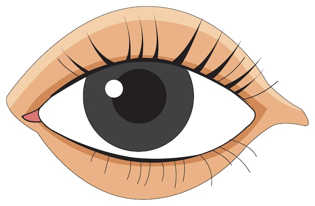 Eye Clipart Images - Free Download on clipart library