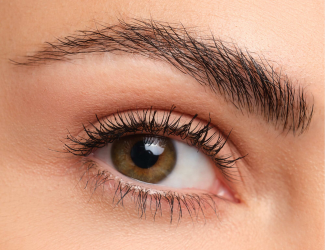 eyebrowss