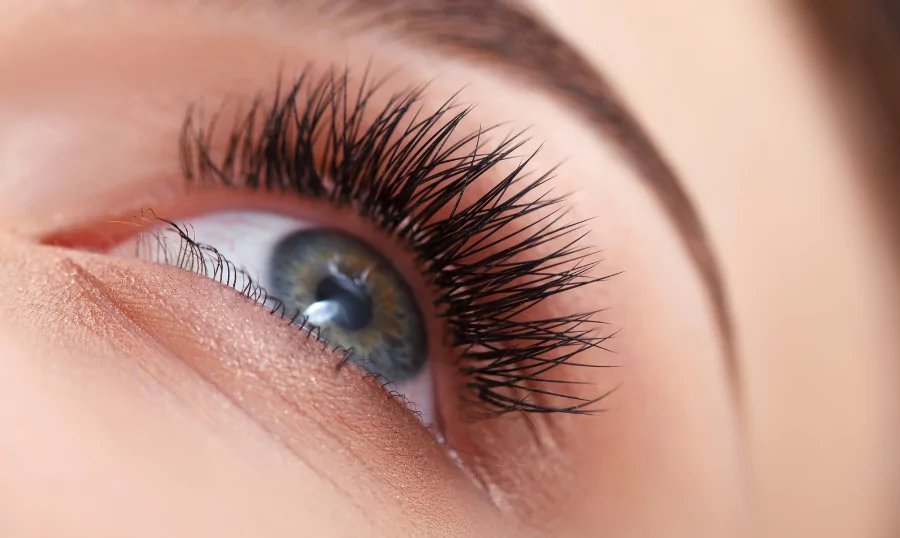 Read Insights about The Importance of Eyelashes from Auckland Eye