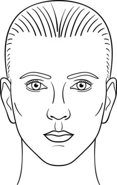 face outline