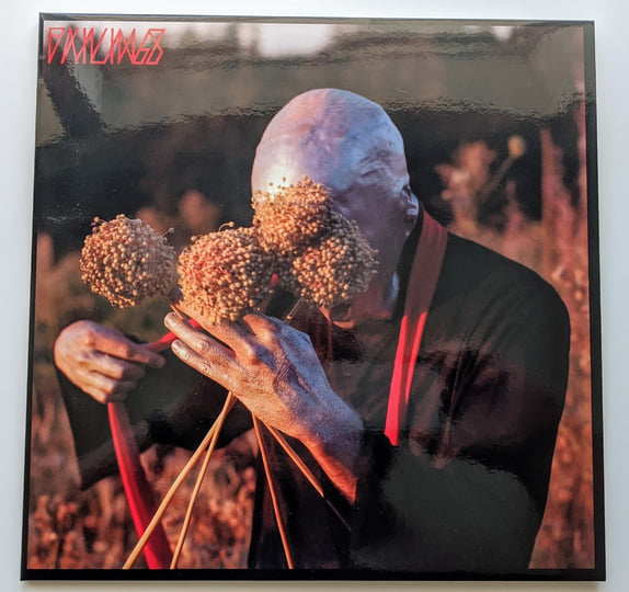 Failings | Failings | Debacle Records