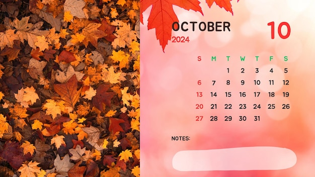 Fall 2024 Pictures | clipart library
